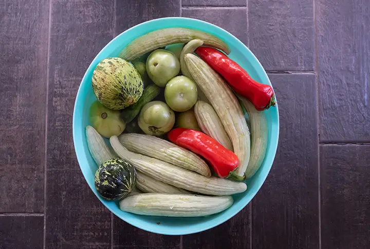 Kütür Kütür Acur Turşusu Tarifi Nasıl Yapılır?