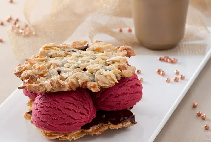 Floransa Bisküvili Dondurmalı Sandviçler 